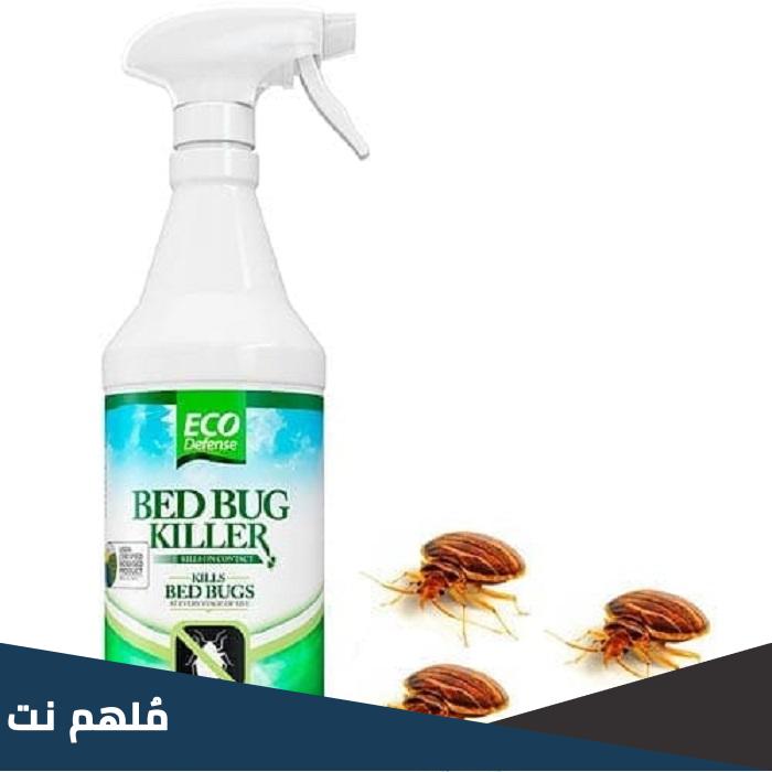 ما هو المبيد الذي يقضي على البق في الجزائر