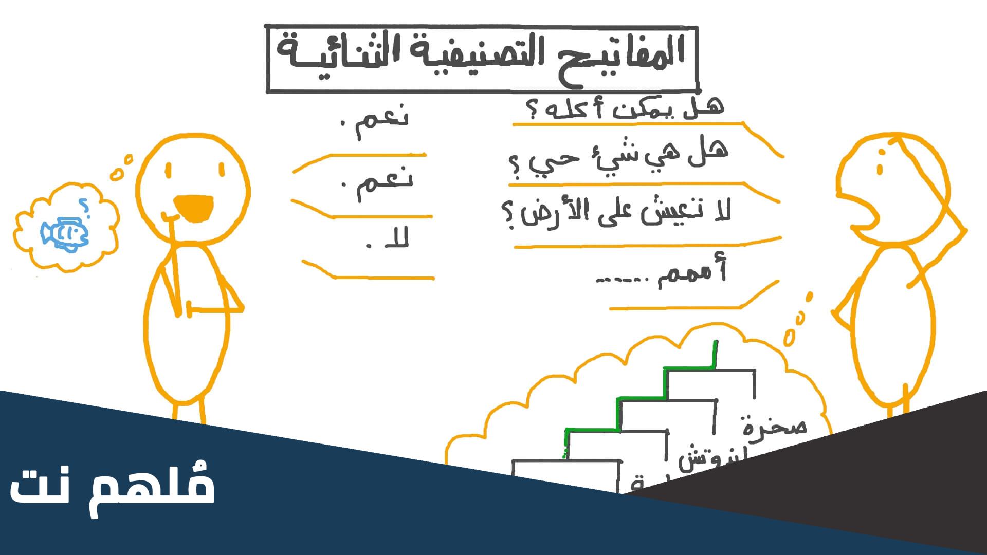 ما هو المفتاح التصنيفي