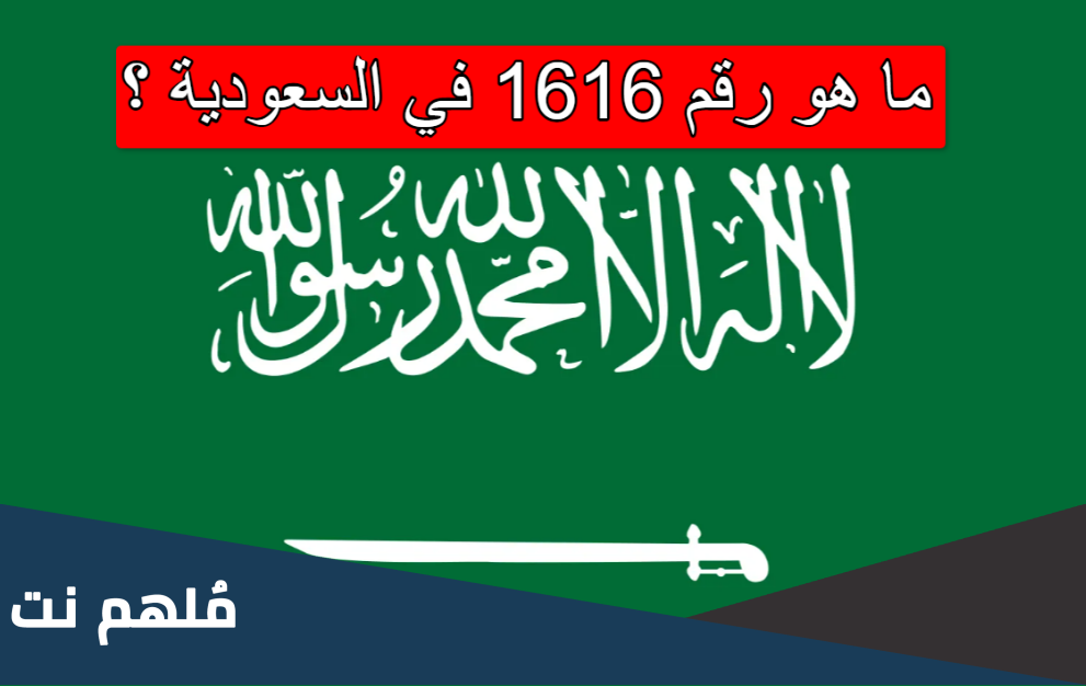 ما هو رقم ١٦١٦ ولماذا