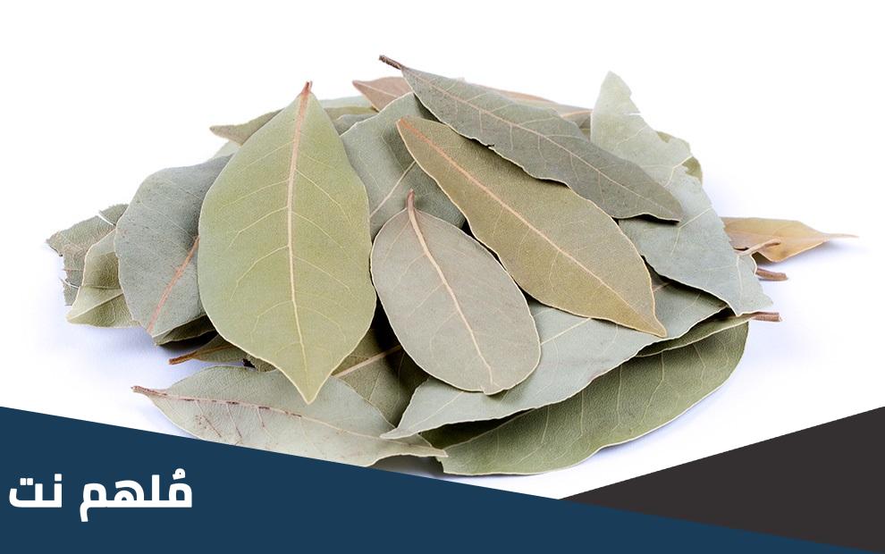 ما هو روق الغار