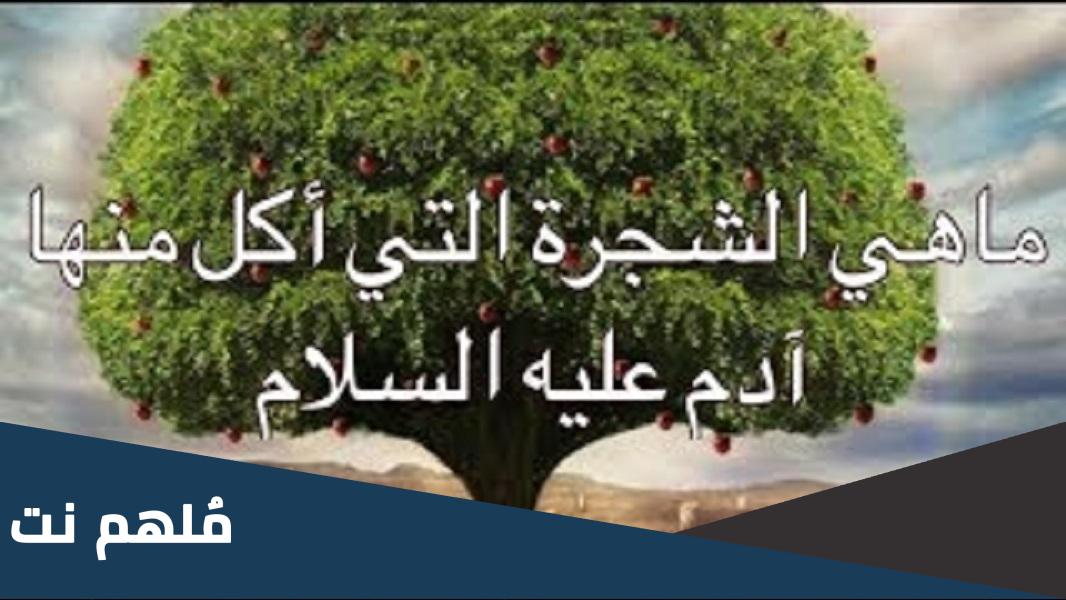 ما هي الثمرة التي اكلها ادم