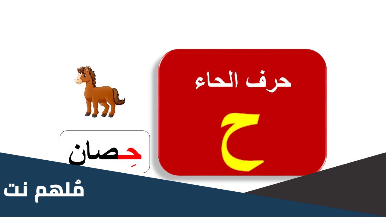 ماذا قيل في حرف الحاء للذكر