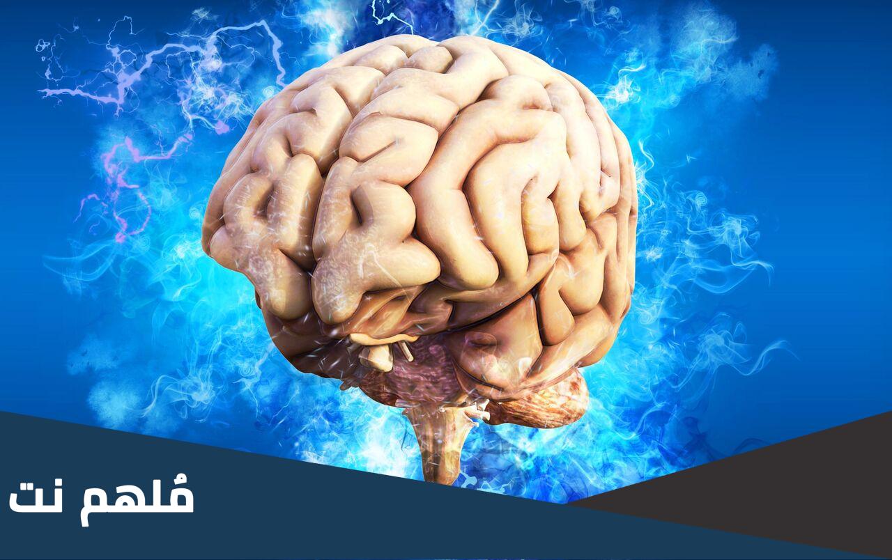 ماذا يحدث عند تخدير منطقه تحت المهاد في المخ
