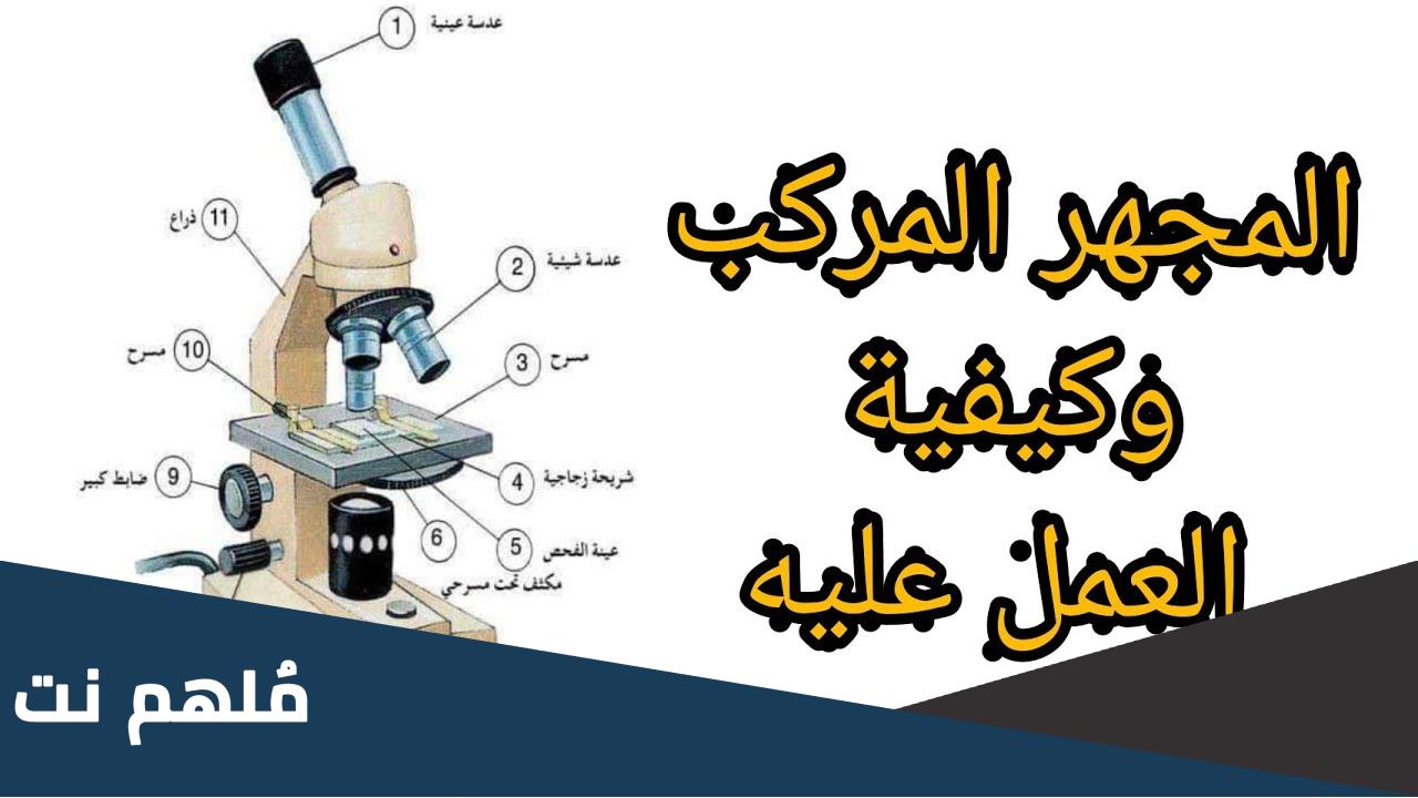 من اول من صنع المجهر البسيط