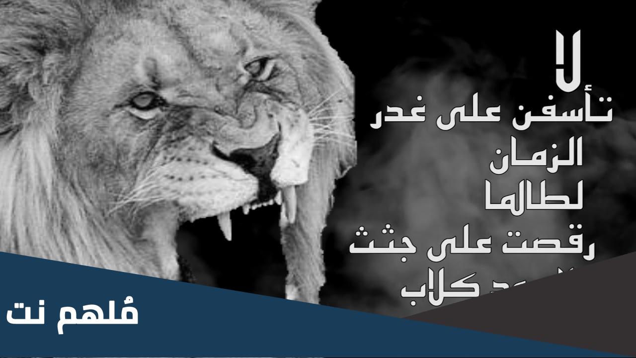 من قائل لا تأسفن على غدر الزمان