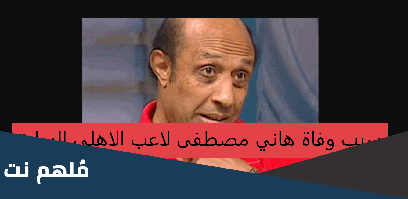 من هو الكابتن هاني مصطفى ويكيبيديا