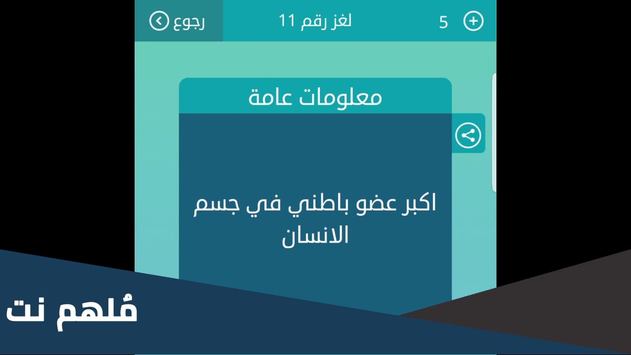 اكبر عضو باطني في جسم الانسان