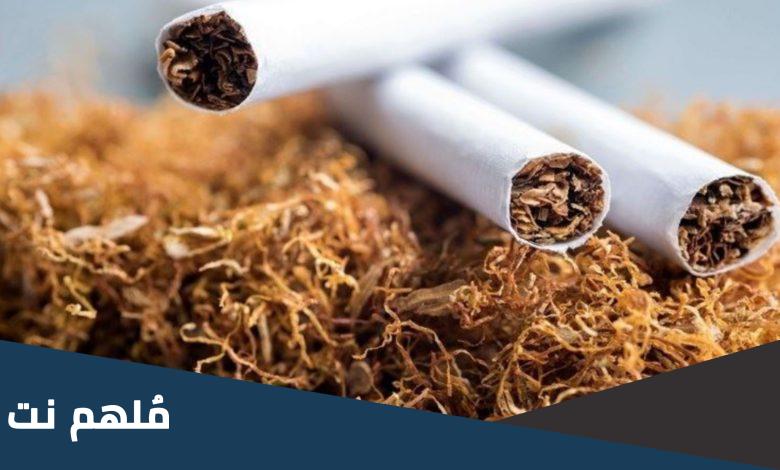 التبغ والتنباك من المحاصيل