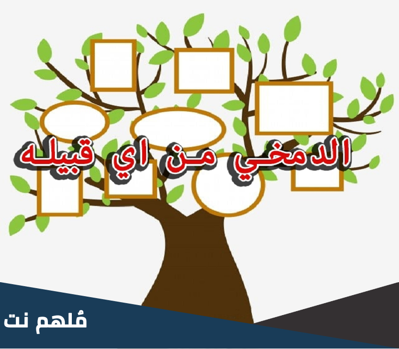 الدمخي من اي قبيلة، عائلة الدمخي وش يرجعون