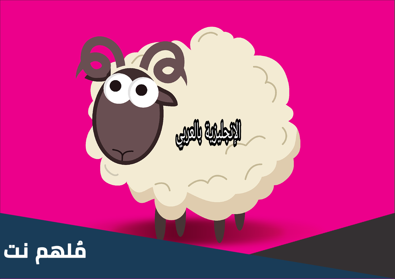 تعبير عن عيد الاضحى بالانجليزي