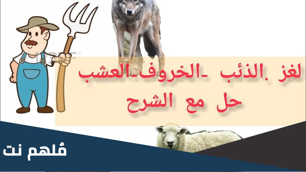 حل لغز الخروف والذئب والعشب