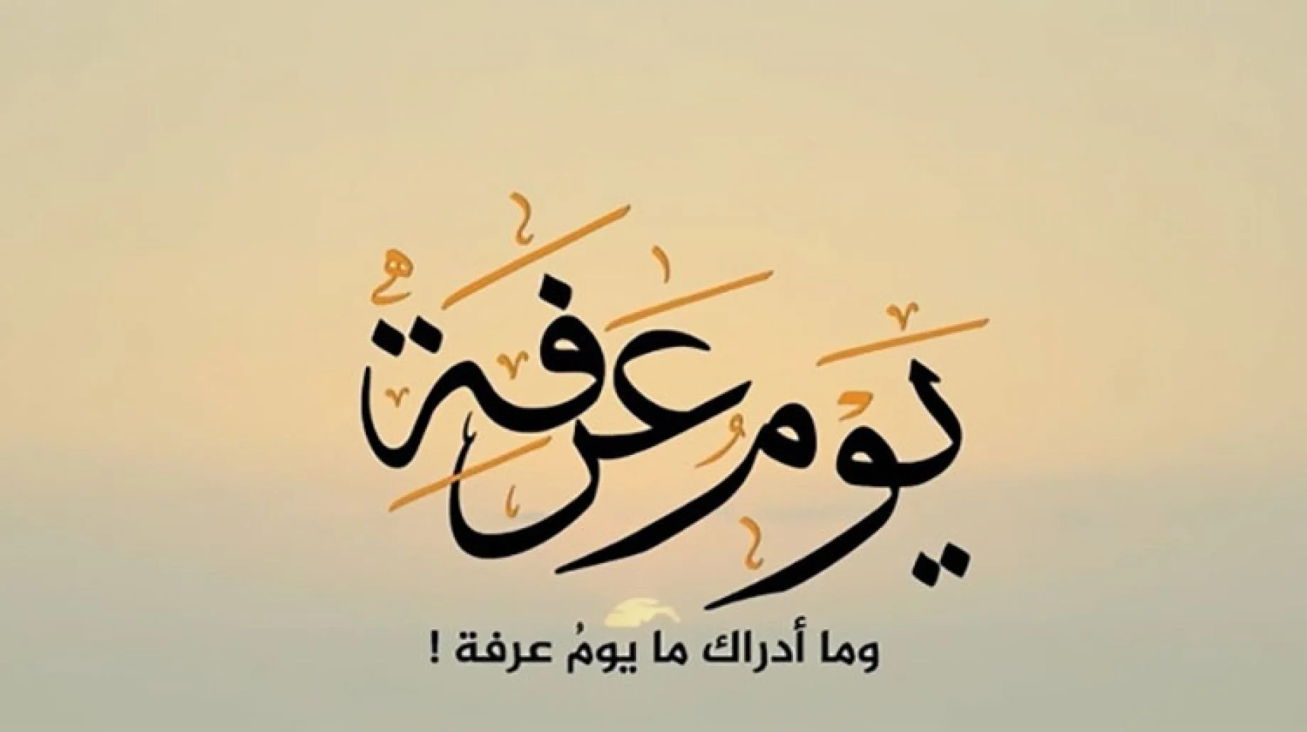 صحة حديث صيام يوم عرفة يكفر سنة ماضية وسنة قادمة