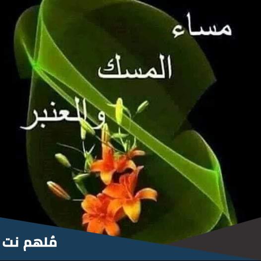 عبارات مثل مساء العنبر ممكن النمبر