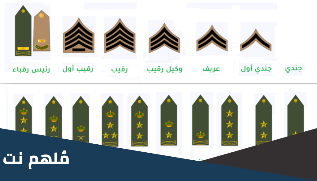 كم فريق أول في السعودية