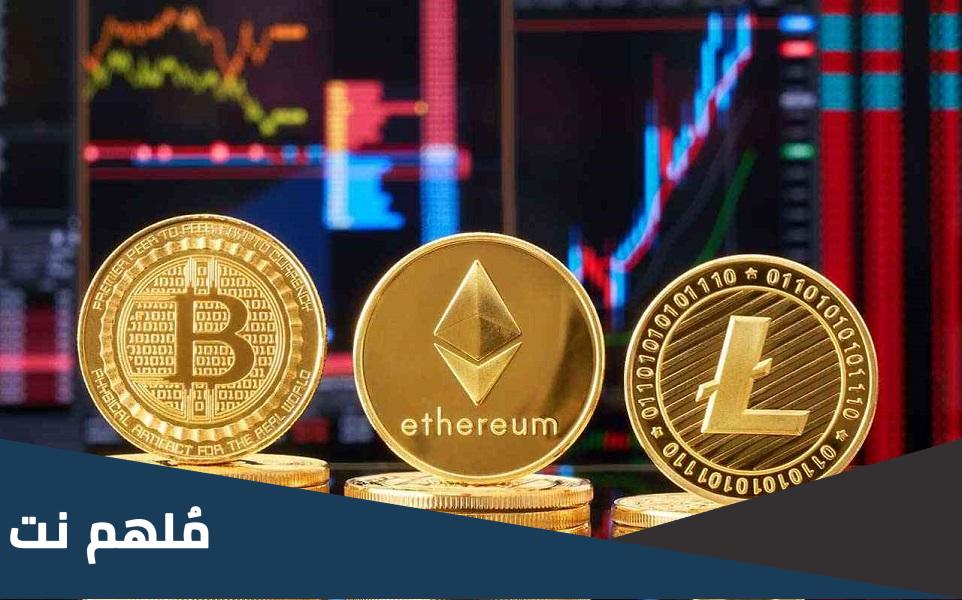 كم مدة ال halving