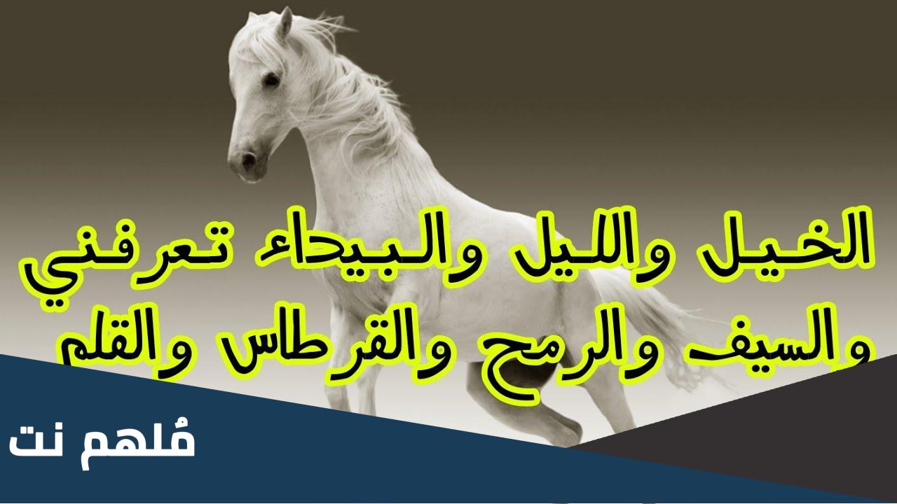 لماذا قال المتنبي الخيل والليل والبيداء تعرفني