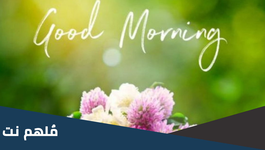 ما الرد على good morning بالانجليزي