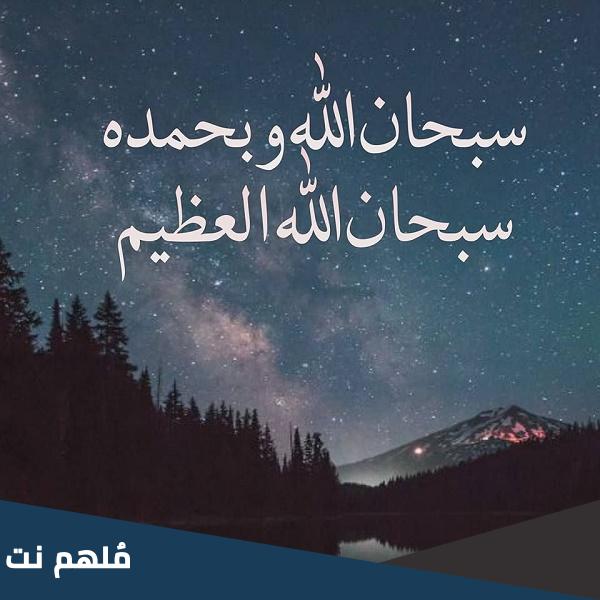 ما معنى سبحان الله وبحمده