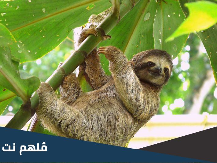 ما هو ابطأ شي في الكون
