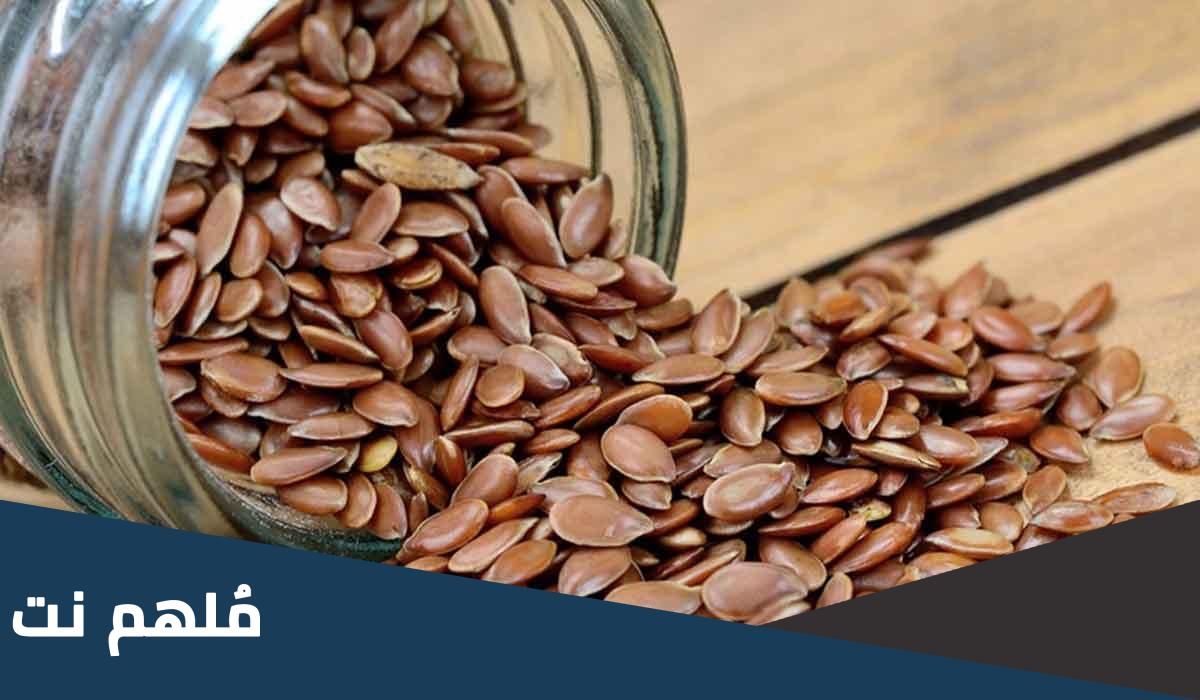 ما هو بذور القاطونة بالانجليزي