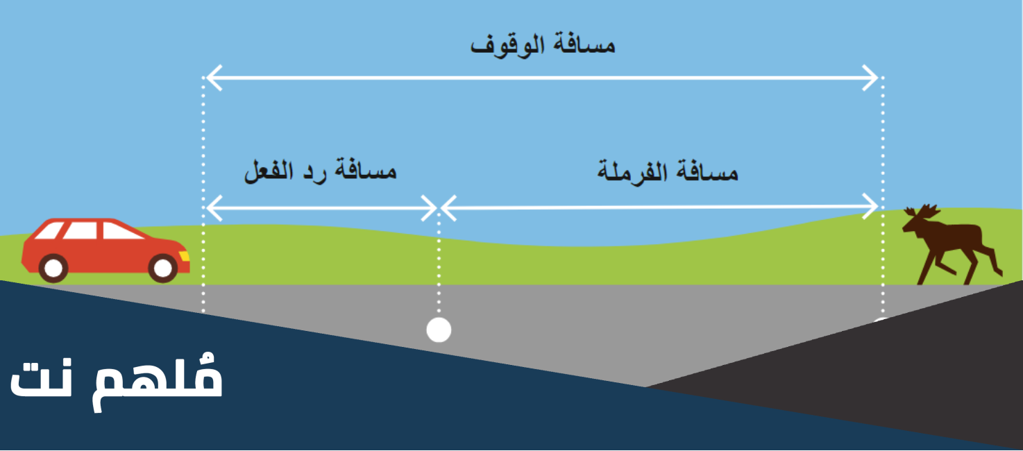 ما هي مسافة رد الفعل