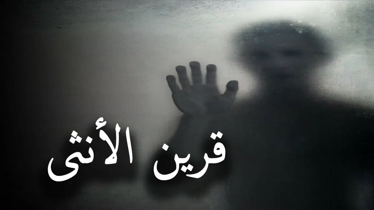 ماذا يفعل قرين الانثى في الليل