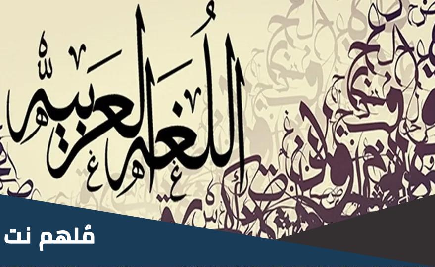 معنى كلمه تلت باللغه العربيه