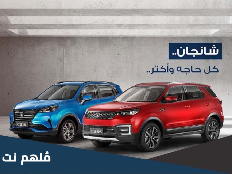 من هو وكيل شانجان في مصر
