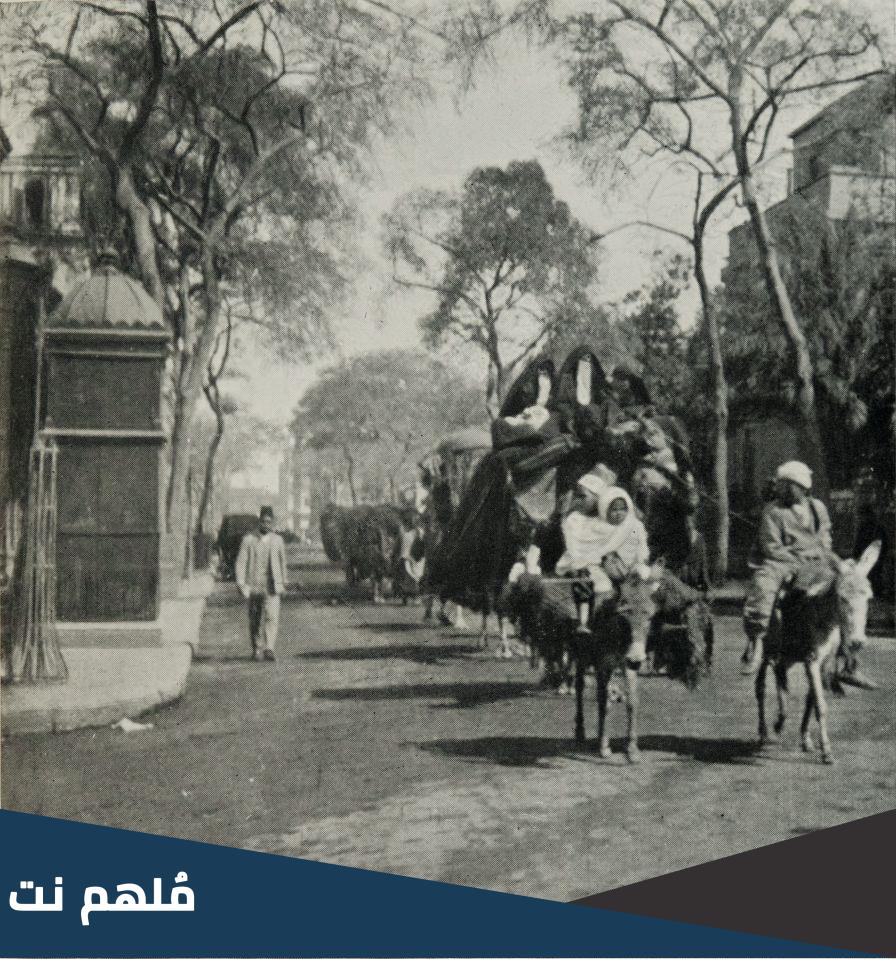 وش معنى الفخذ في القبيلة