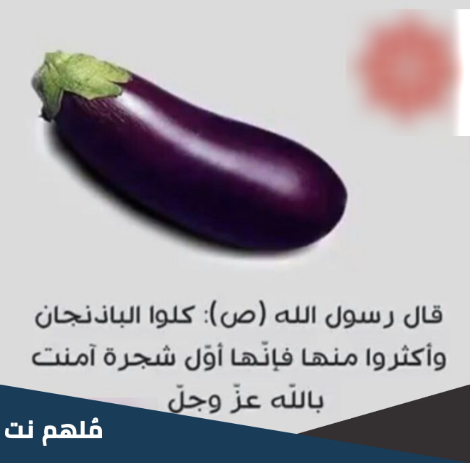 ما هي اول شجرة امنت بالله .