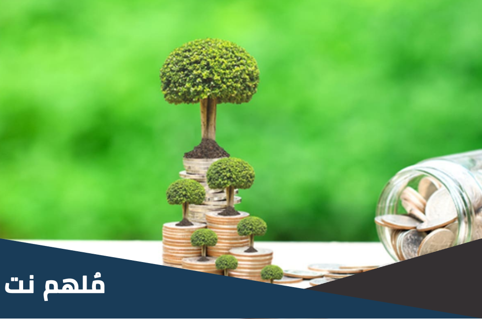 برنامج التمويل المتناهي الصغر الخاص بالسيدات يطلق عليه ماذا
