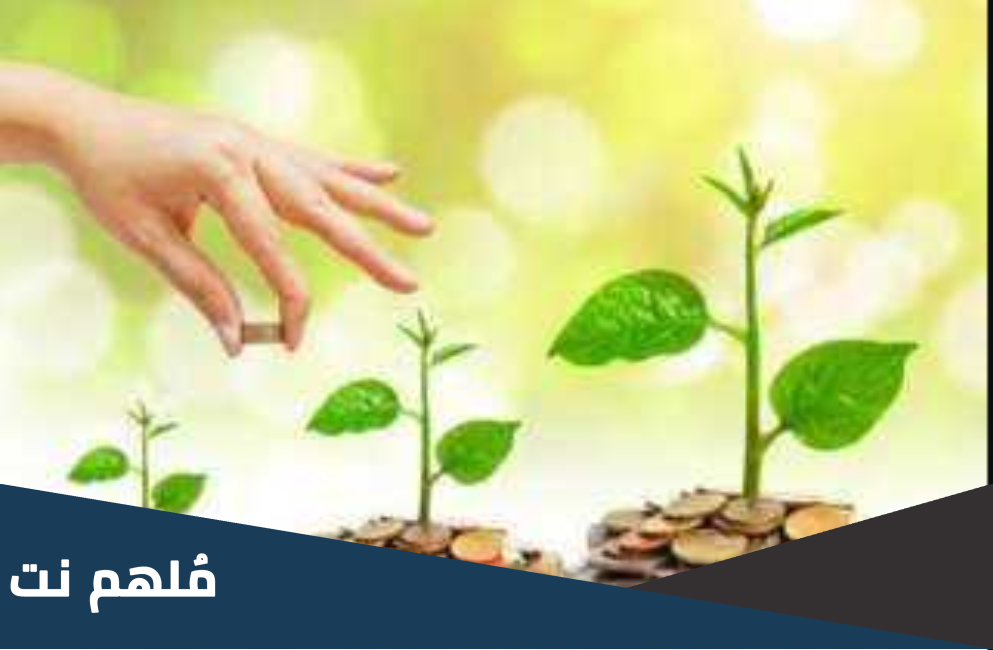 برنامج التمويل المتناهي الصغر الخاص بالسيدات