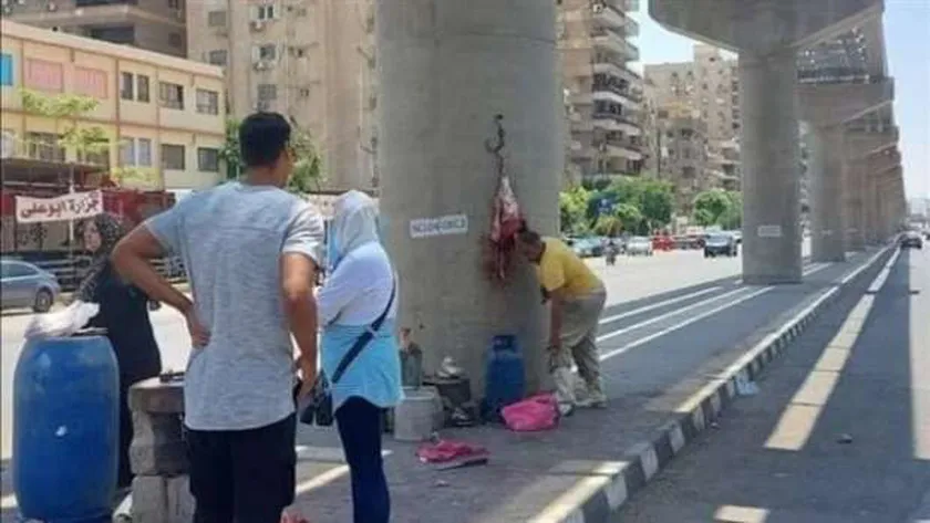 ما هو عمود المونوريل وقصته