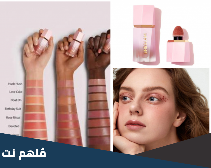 من هو وكيل شيجلام في مصر