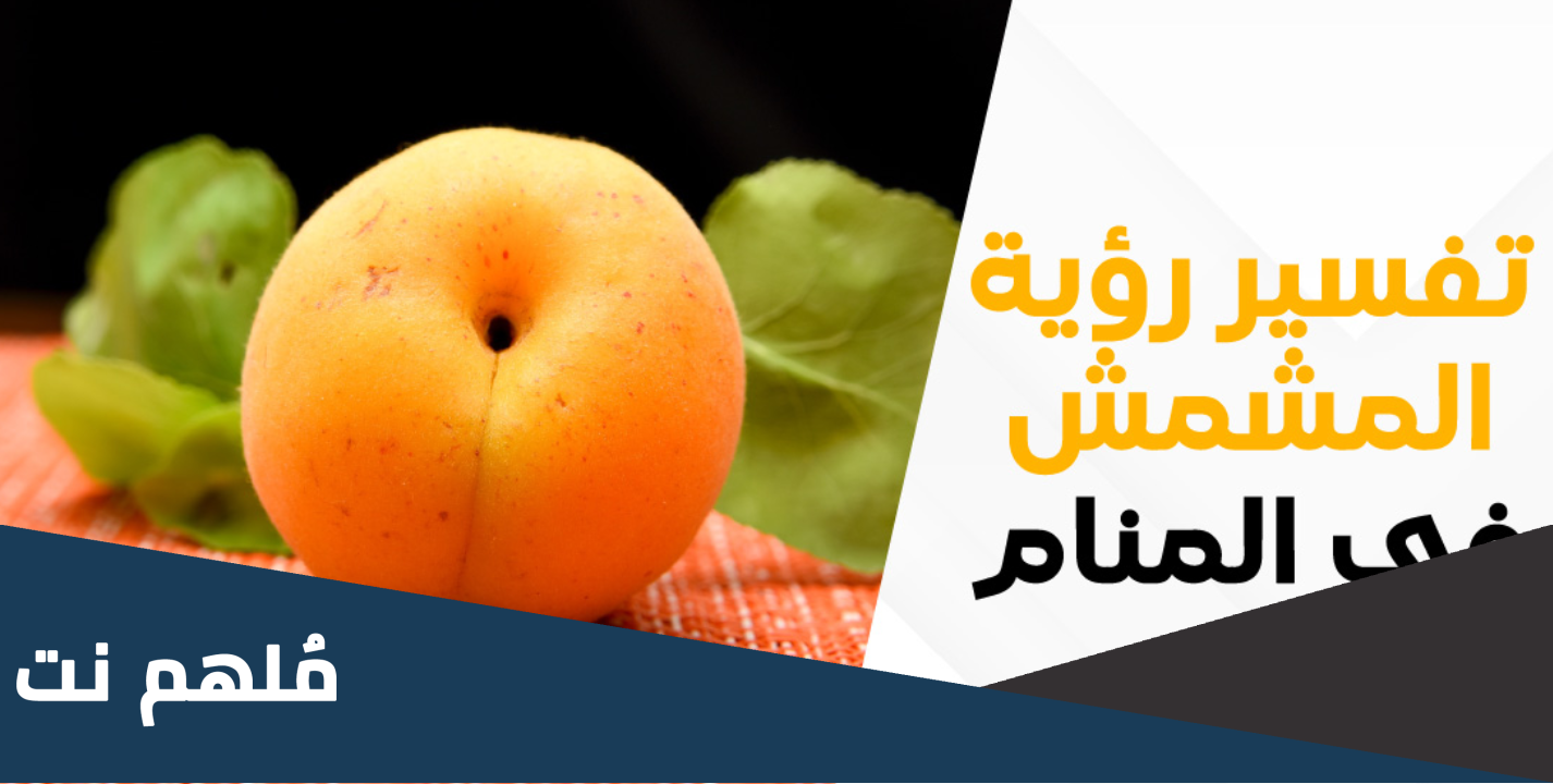 تفسير حلم رؤية شجرة وثمرة المشمش في المنام