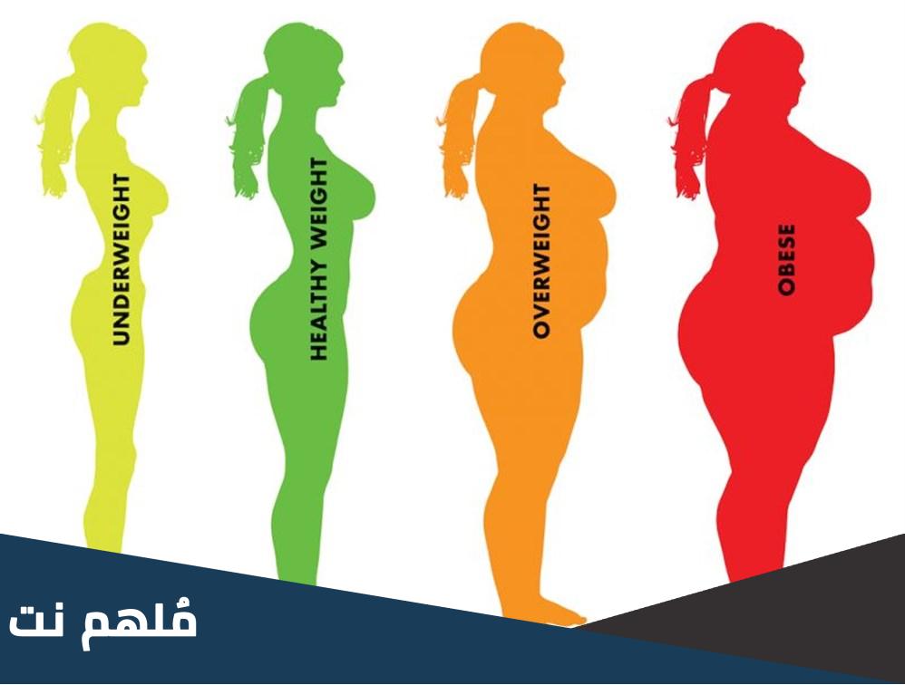 أكثر شكل جسم يحبه الرجال