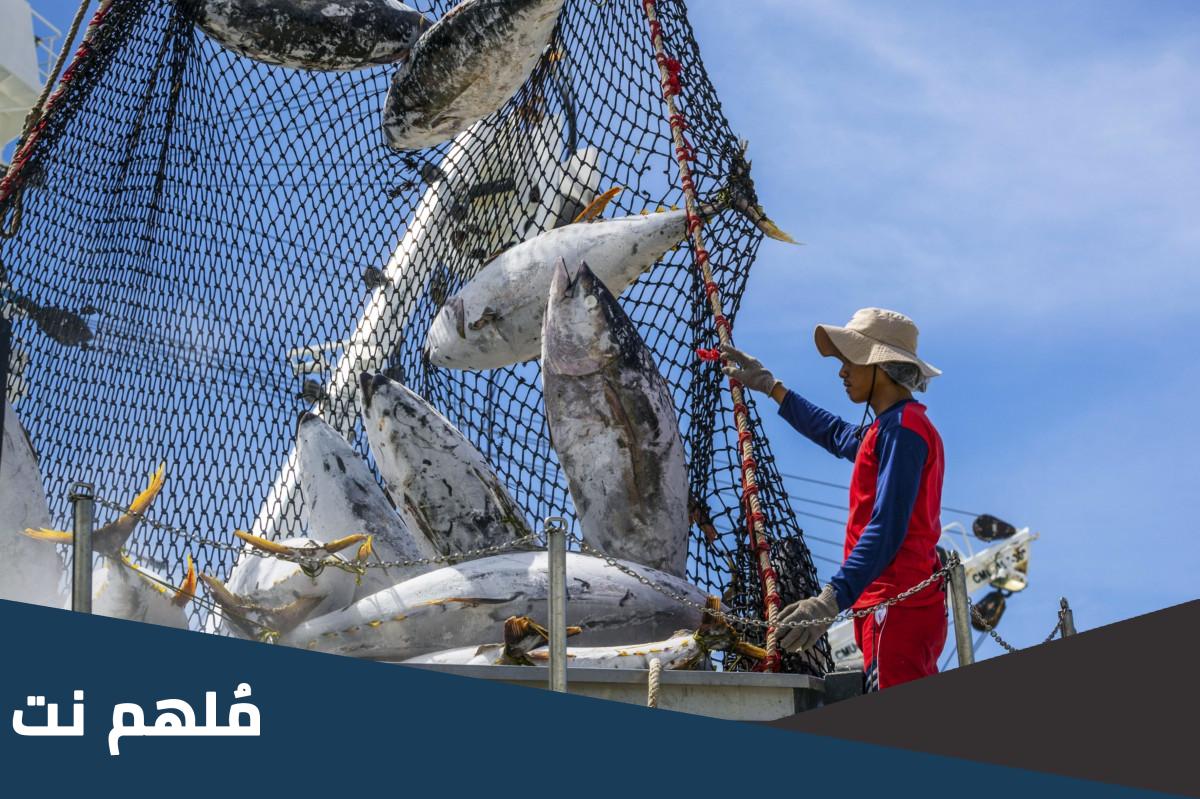 اسم أول دولة في صيد الأسماك عربيا