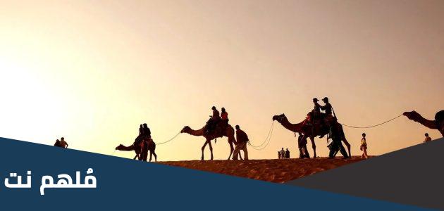 اصل الزايدي وش يرجع