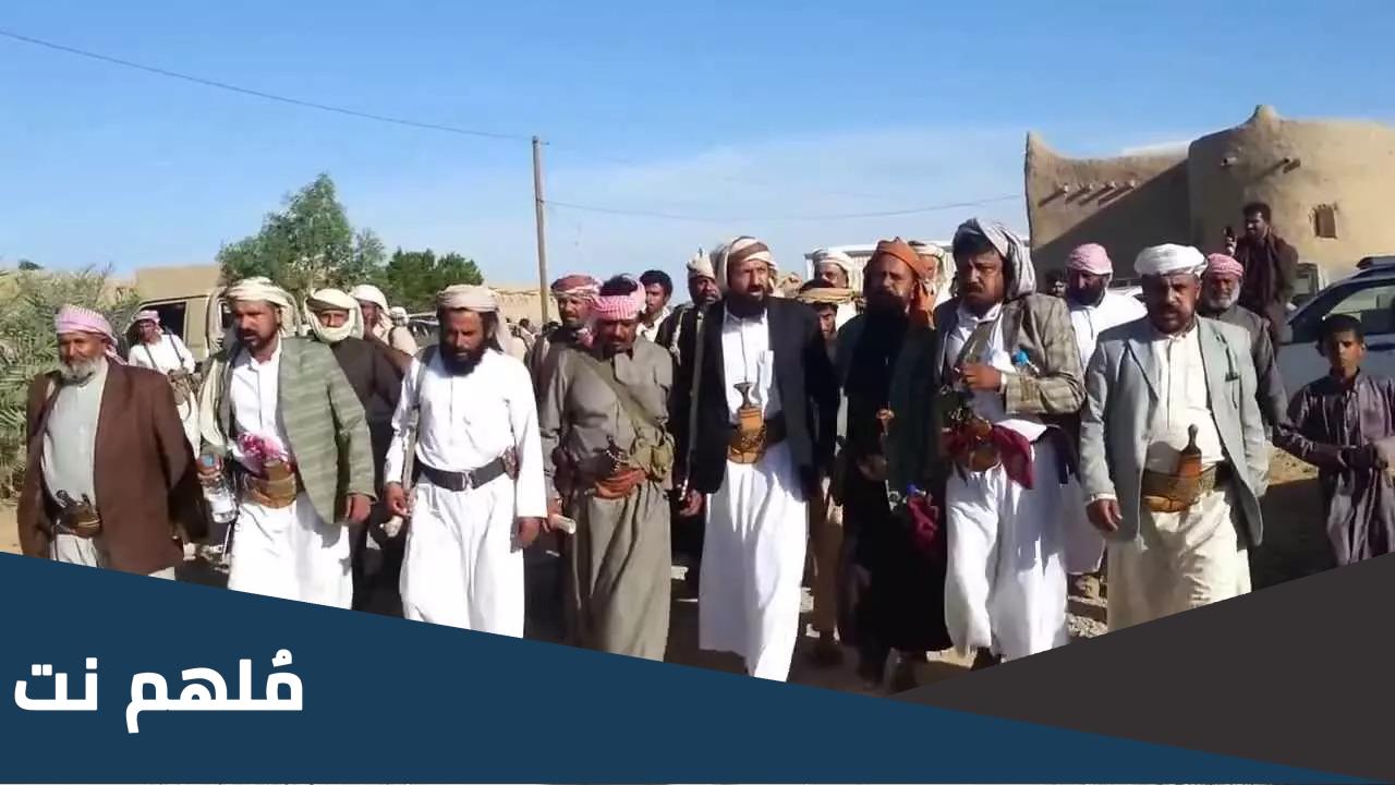 اصل عائلة القرهدي وش يرجعون