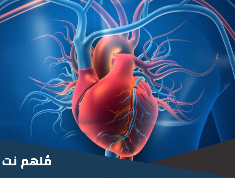 القطعة من القلب ماذا تسمى