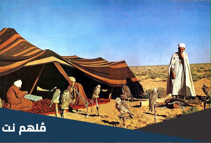 المنصوري وش يرجع؟ وما هو أصل عائلة المنصوري؟