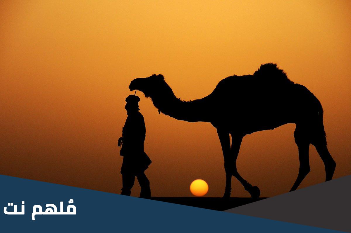 النتيفات وش يرجعون وإلى أي قبيلة ينتمون