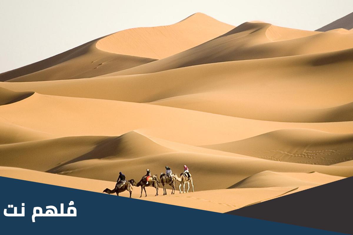 الهويمل وش يرجعون .. اصل قبيلة الهويمل من وين