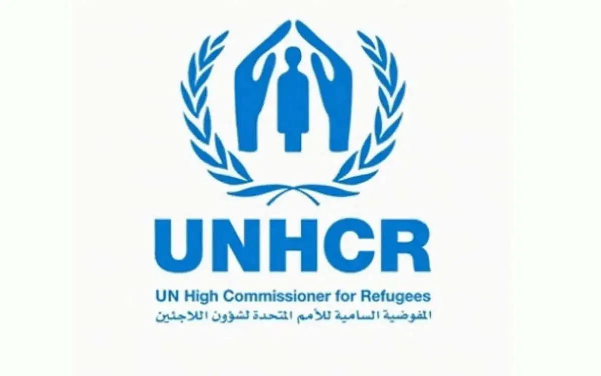 كيفية معرفة حالة الملف un في تركيا