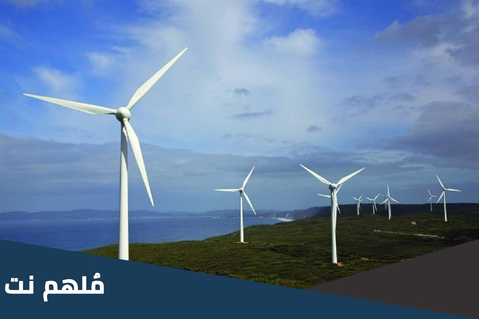 ما الصعوبات التي تواجه استغلال طاقة الرياح في توليد الكهرباء