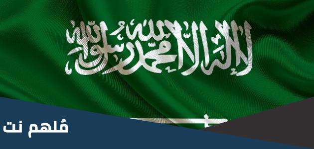 ما هو النظام السائد في حكم المملكة العربية السعودية