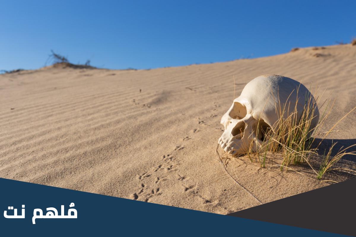 ما هي الغيلان في الإسلام