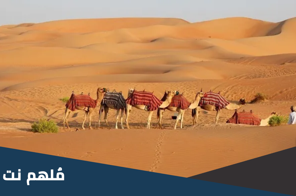 آل فروان وش يرجع .. اصل ال فروان