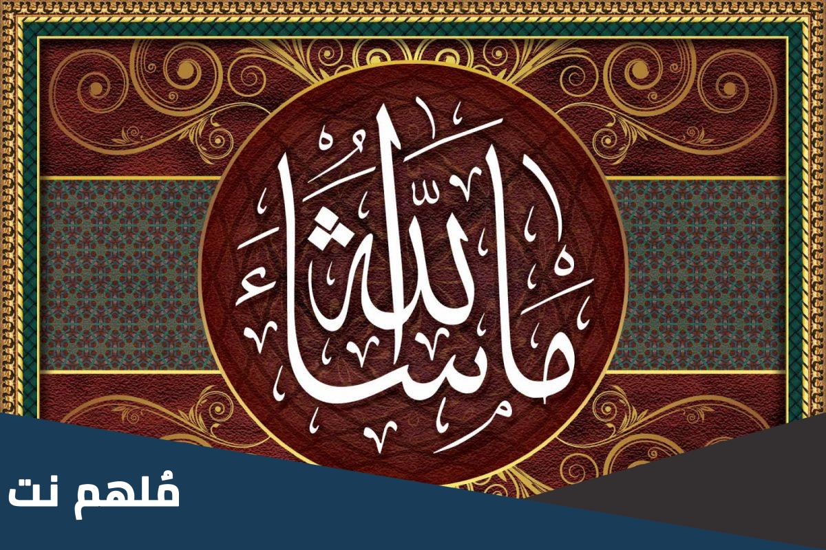 الرد على ماشاء الله افلحت .. اذا احد قال ماشاء الله وش ارد الرد