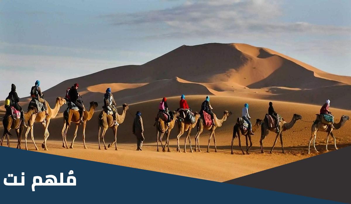 الصاعدي وش يرجع .. من وين يرجع الصاعدي